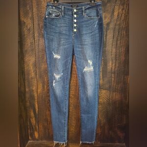 Judy Blue Jeans Womens 11/30 Blue Skinny Fit High Rise Stretch Button Fly Denim